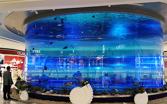 亚克力水族工程施工需要注意哪些关键要素