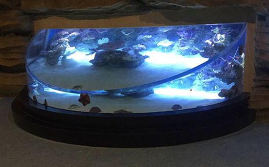 亚克力水族工程施工需要注意哪些关键要素